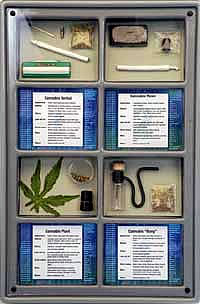 drug wall module